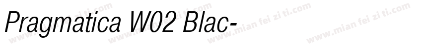 Pragmatica W02 Blac字体转换